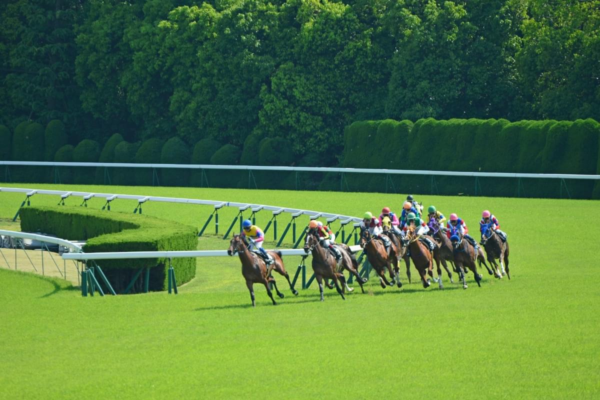 京都競馬場