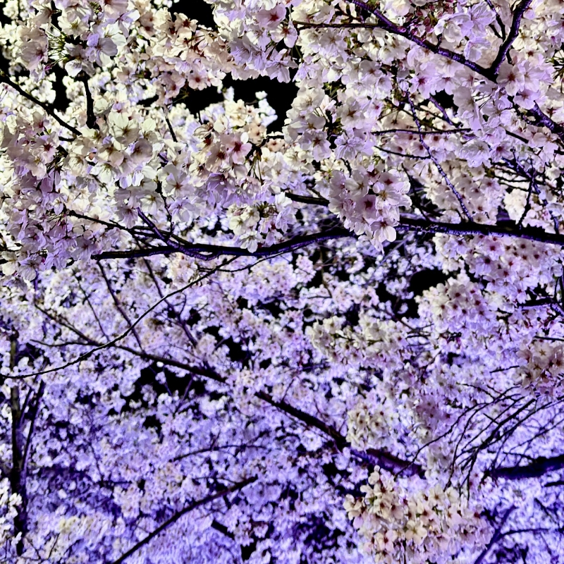 オフの過ごし方