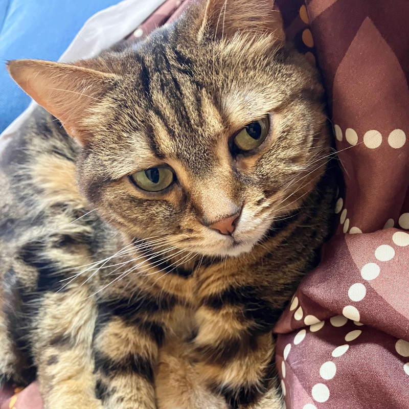 オフの過ごし方